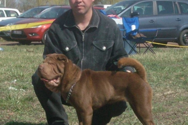 Phanatic Hungary kennel 