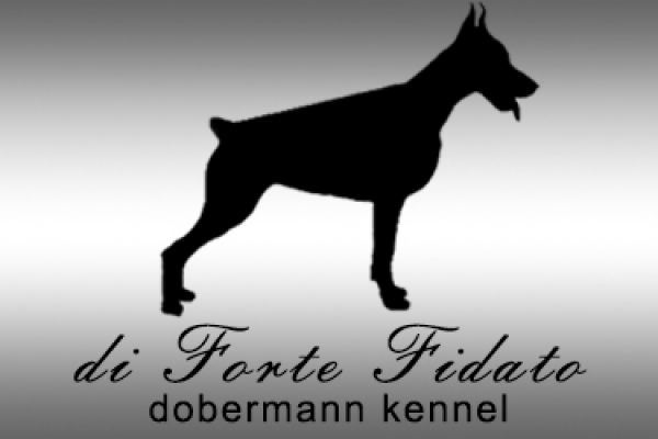 Forte Fidato Dobermann Kennel Hungary  