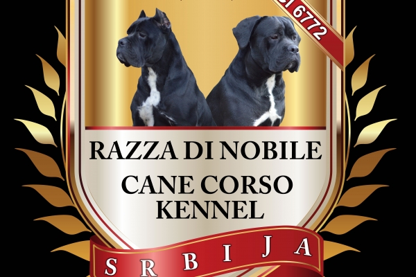 Razza Di Nobile 