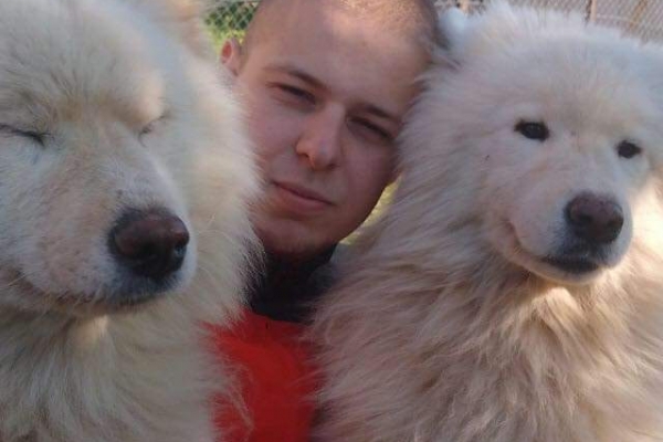 Samoyeds kennel for Love 